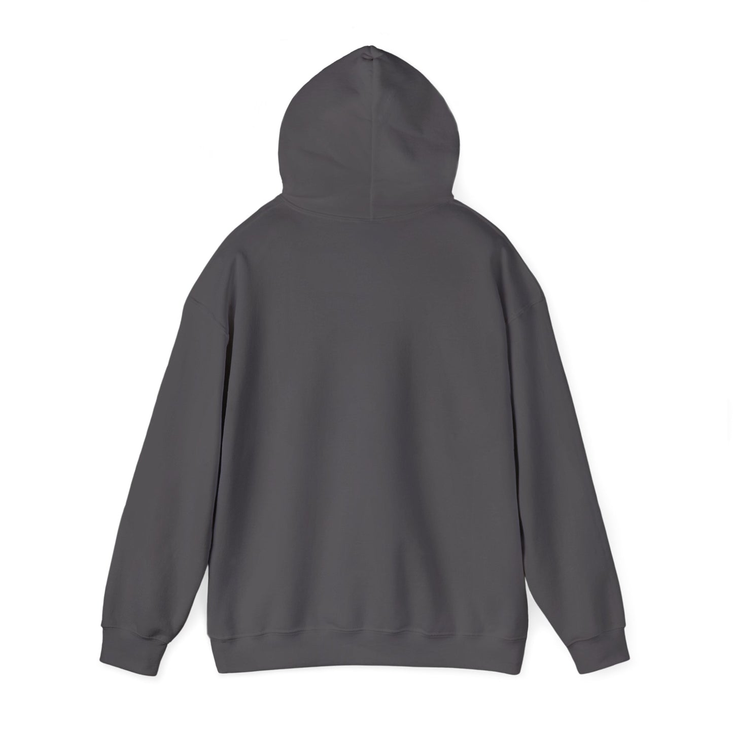 Fun Quote Hooded Sweatshirt, Casual Hoodie, Gift for Mom, Graphic Sweatshirt, Unique Pullover, Funny Apparel