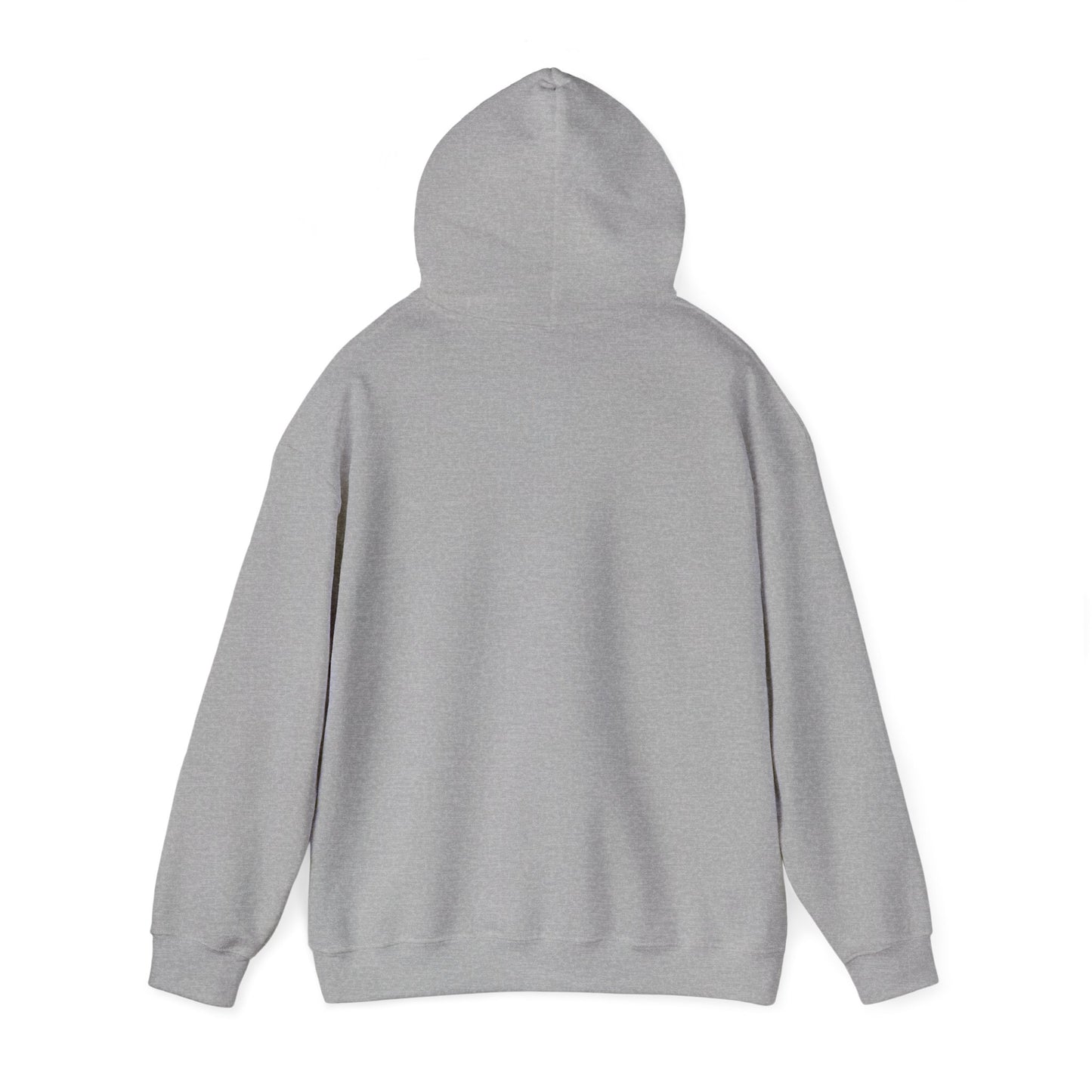Fun Quote Hooded Sweatshirt, Casual Hoodie, Gift for Mom, Graphic Sweatshirt, Unique Pullover, Funny Apparel