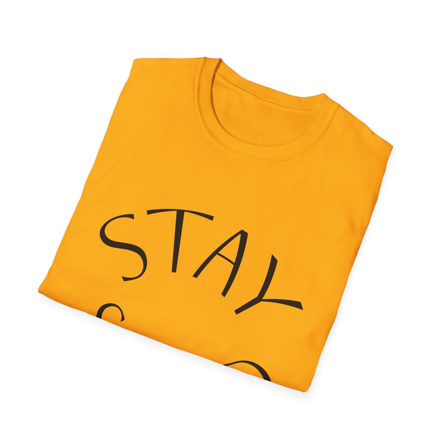 STAY SOLID Unisex Softstyle T-Shirt