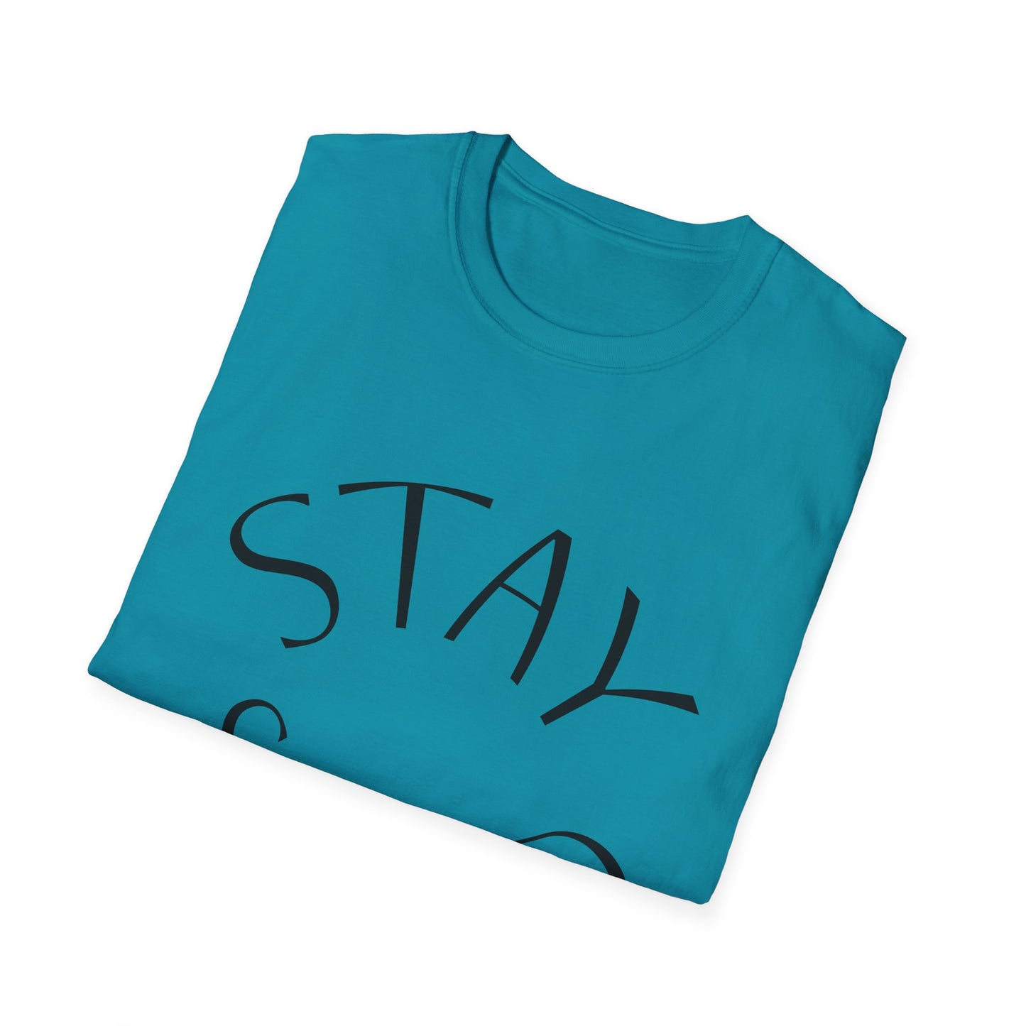 STAY SOLID Unisex Softstyle T-Shirt