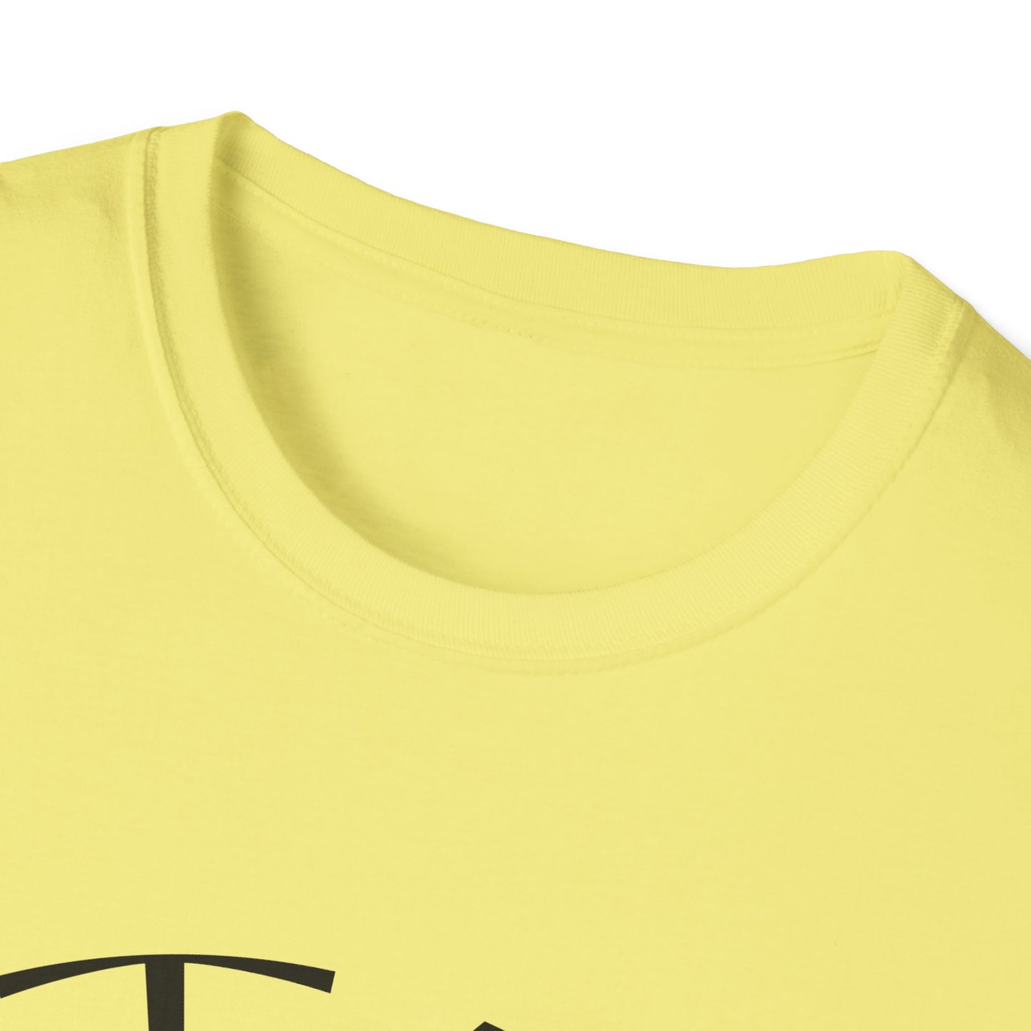STAY SOLID Unisex Softstyle T-Shirt