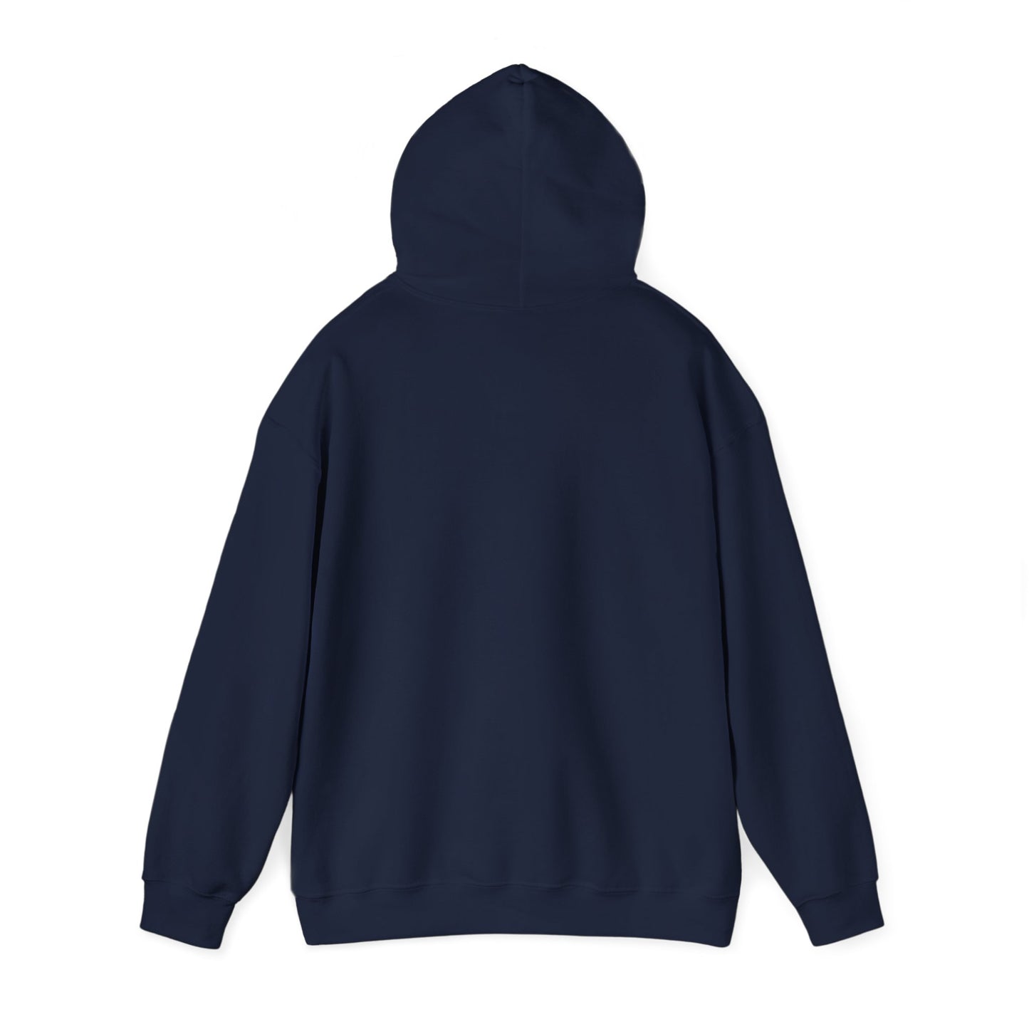 Fun Quote Hooded Sweatshirt, Casual Hoodie, Gift for Mom, Graphic Sweatshirt, Unique Pullover, Funny Apparel