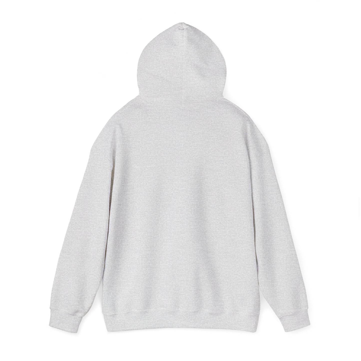 Fun Quote Hooded Sweatshirt, Casual Hoodie, Gift for Mom, Graphic Sweatshirt, Unique Pullover, Funny Apparel
