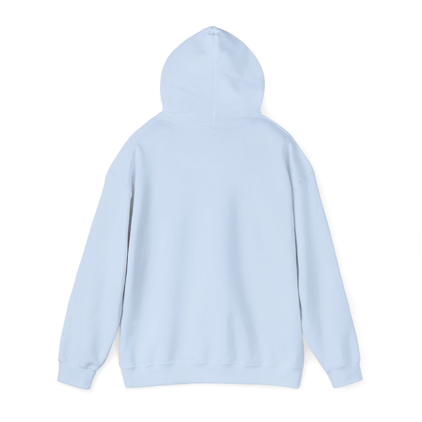 Fun Quote Hooded Sweatshirt, Casual Hoodie, Gift for Mom, Graphic Sweatshirt, Unique Pullover, Funny Apparel