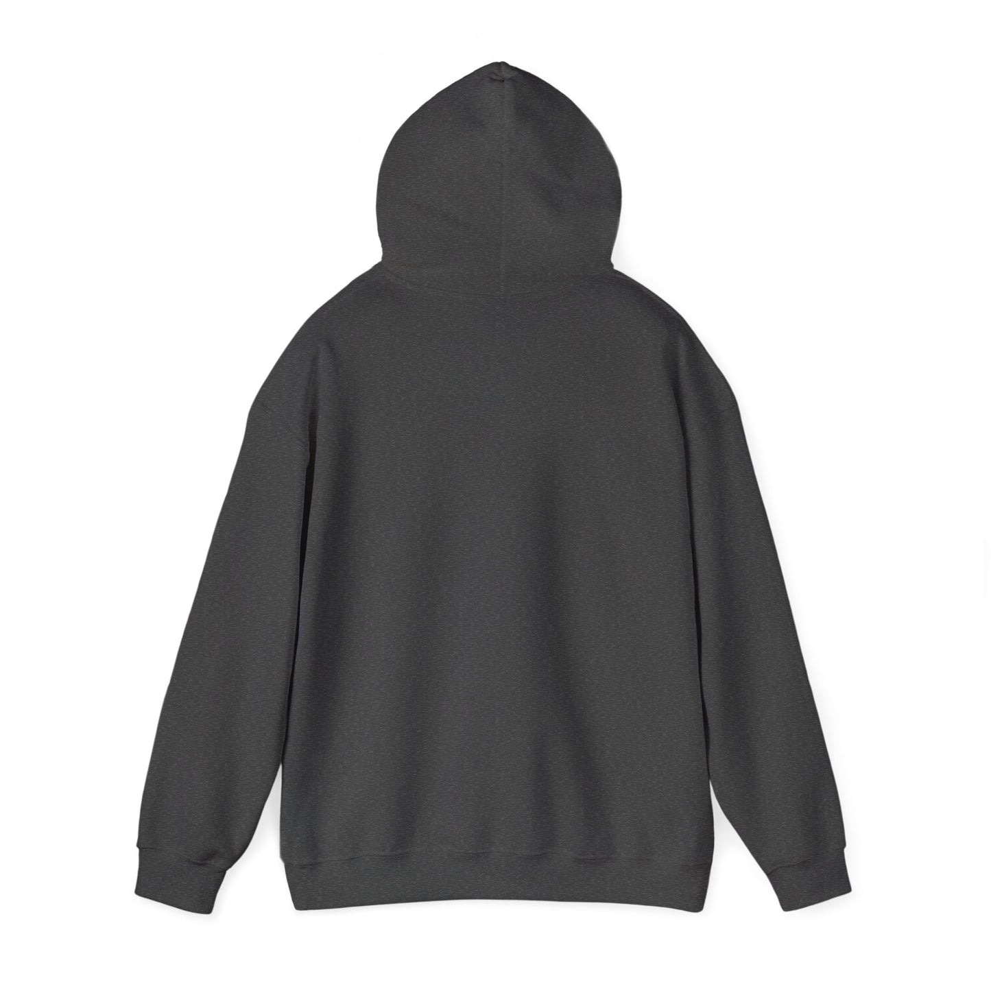 Fun Quote Hooded Sweatshirt, Casual Hoodie, Gift for Mom, Graphic Sweatshirt, Unique Pullover, Funny Apparel