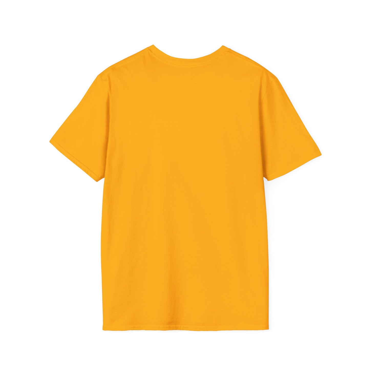 STAY SOLID Unisex Softstyle T-Shirt