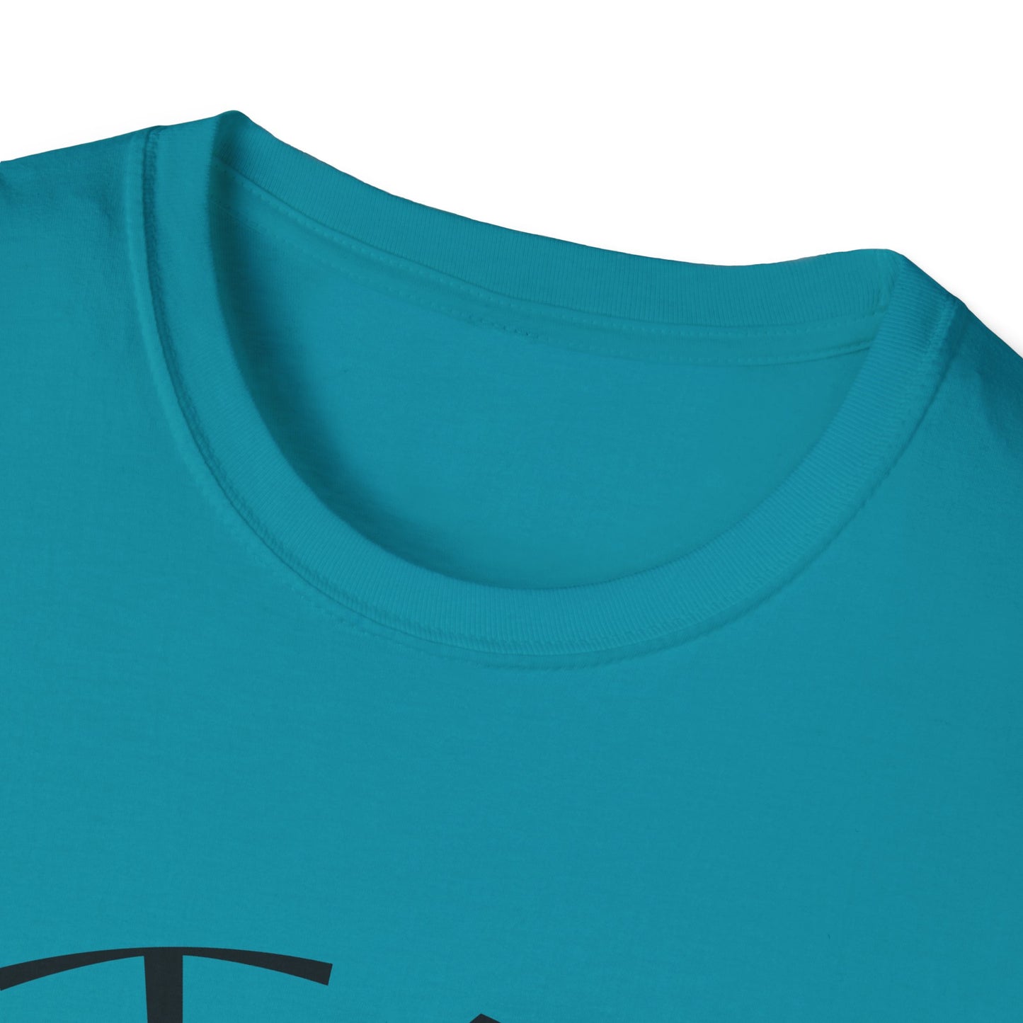 STAY SOLID Unisex Softstyle T-Shirt